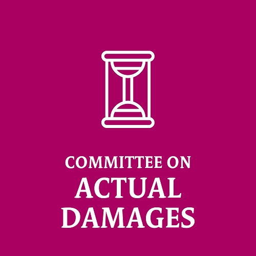 Committee on Actual Damages
